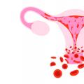 Quando ocorre a ovulação?