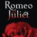 Ideea lucrării Romeo și Julieta Tema lucrării Romeo și Julieta