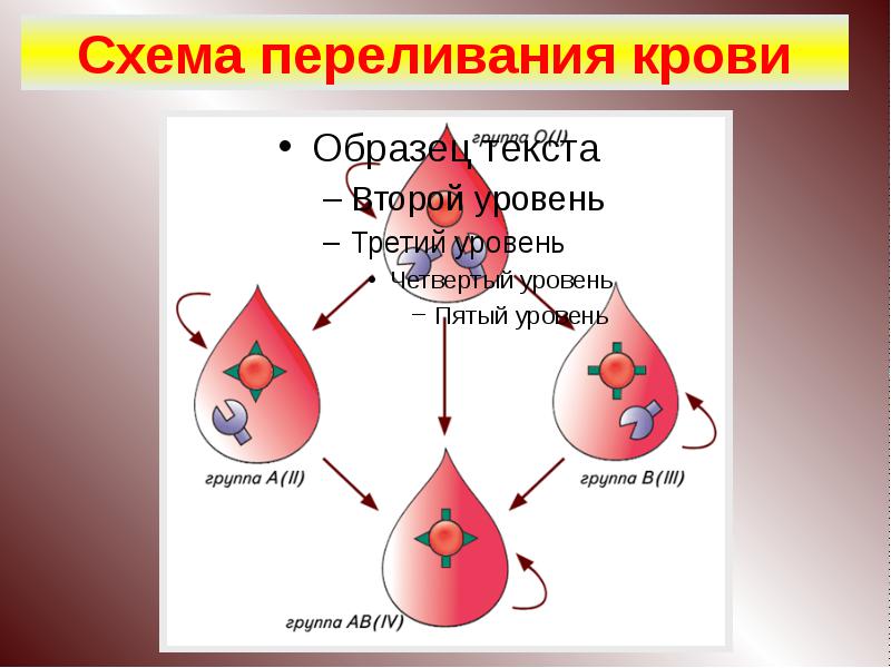 Схема переливания крови биология 8 класс биология